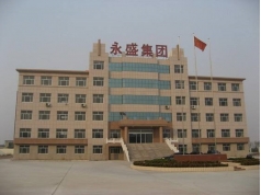 山东永盛集团